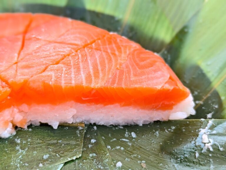 【富山駅周辺】本当においしい「ます寿司」を食べ歩くひとり旅【おすすめ6店】 - イーアイデム「ジモコロ」